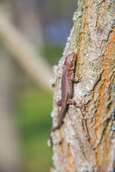 Similar image 6354769