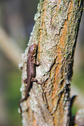 Similar image 6354770