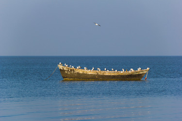 Similar image 6354772