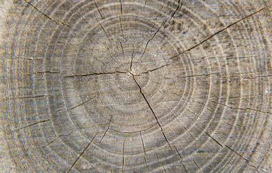 Similar image 6354773