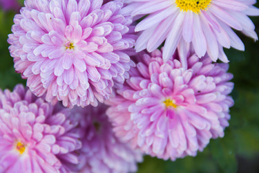 Similar image 6354774