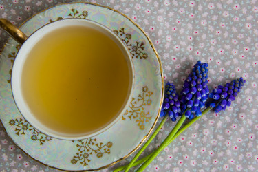 Similar image 6354777