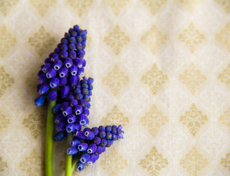 Similar image 6354779