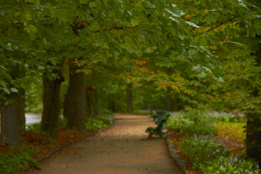 Similar image 6354782