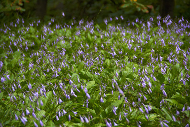 Similar image 6354784