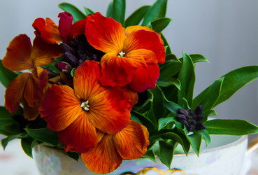 Similar image 6354786