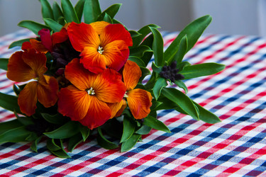 Similar image 6354793