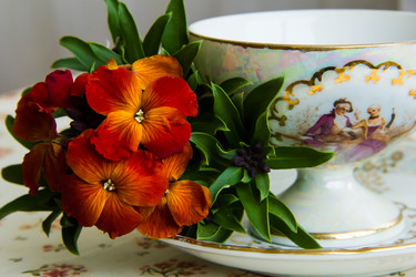 Similar image 6354795