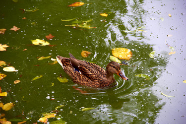 Similar image 6354796