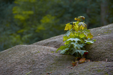 Similar image 6354797