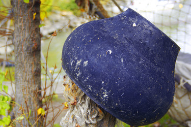 Similar image 6354800