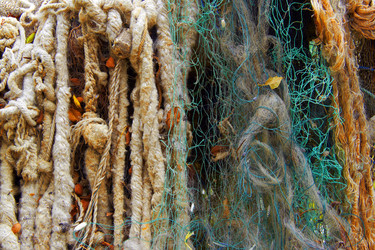 Similar image 6354802