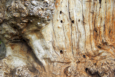 Similar image 6354803