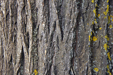 Similar image 6354804