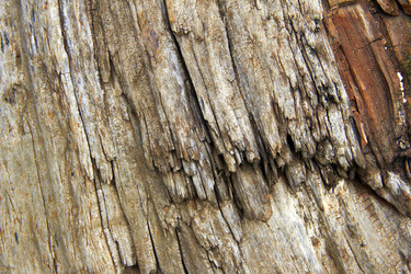 Similar image 6354805