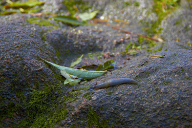 Similar image 6354807