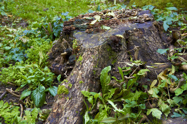 Similar image 6354808