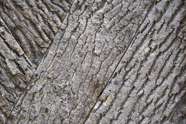 Similar image 6354809