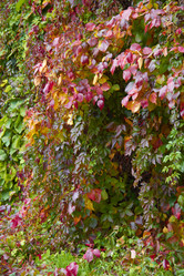 Similar image 6354811