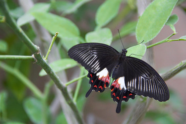 Similar image 6354812