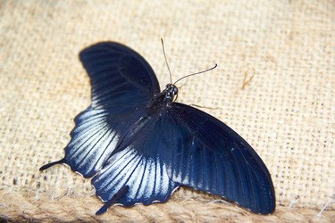 Similar image 6354814