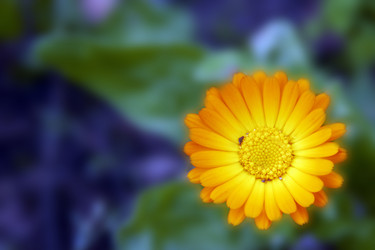 Similar image 6354828