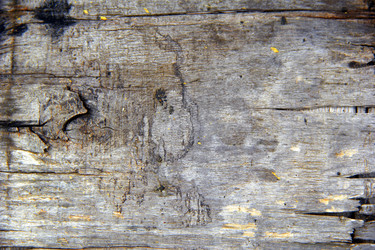 Similar image 6354829