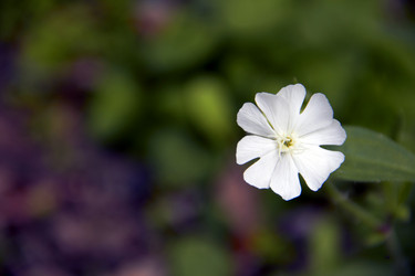 Similar image 6354830