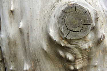 Similar image 6354834