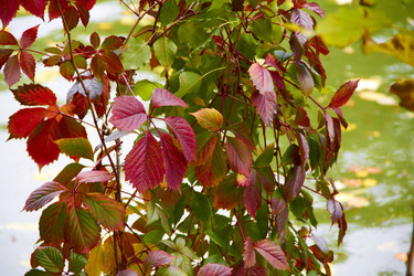 Similar image 6354837