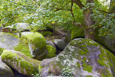 Similar image 6354839