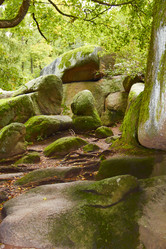 Similar image 6354841