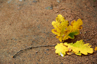 Similar image 6354842