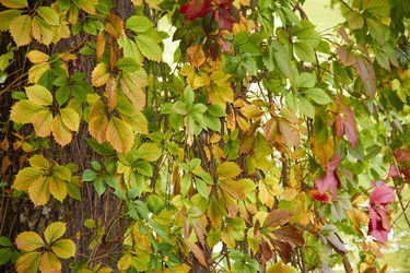 Similar image 6354849