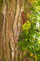 Similar image 6354850