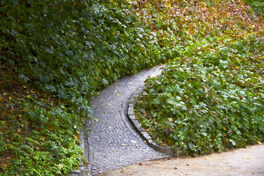 Similar image 6354852