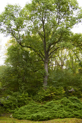 Similar image 6354855