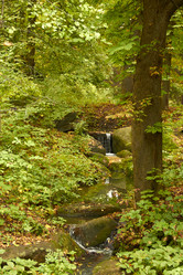 Similar image 6354856