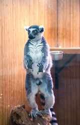 Similar image 6354882