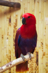 Similar image 6354895