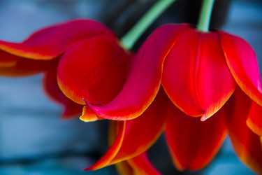 Similar image 6354897