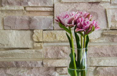 Similar image 6354908