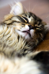 Similar image 6354932