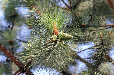 Similar image 6355076