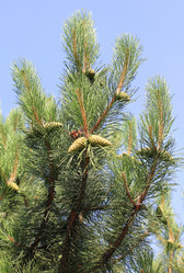 Similar image 6355196