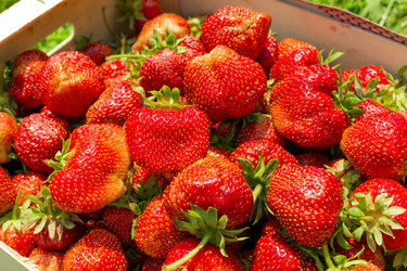 Similar image 6355361