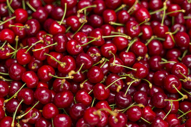 Similar image 6355369