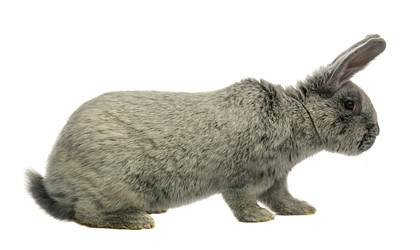 Similar image 6355371