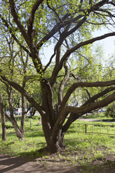 Similar image 6355378