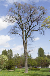 Similar image 6355379